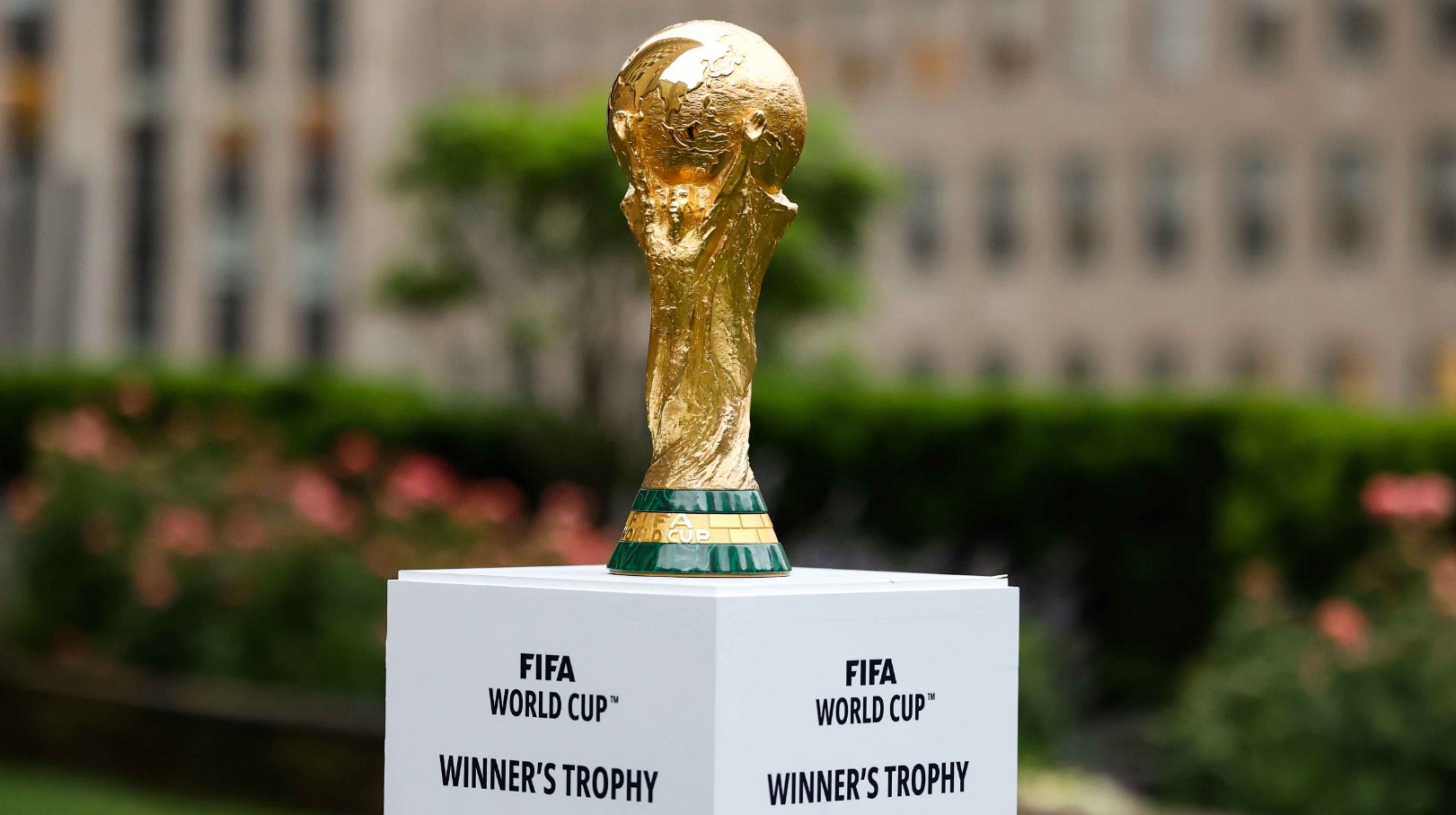 FIFA World Cup Betting Odds Nigeria
