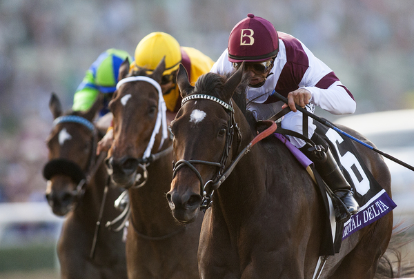 Bet on NG Horse Racing Competitions Online horse racing betting online Nigeria